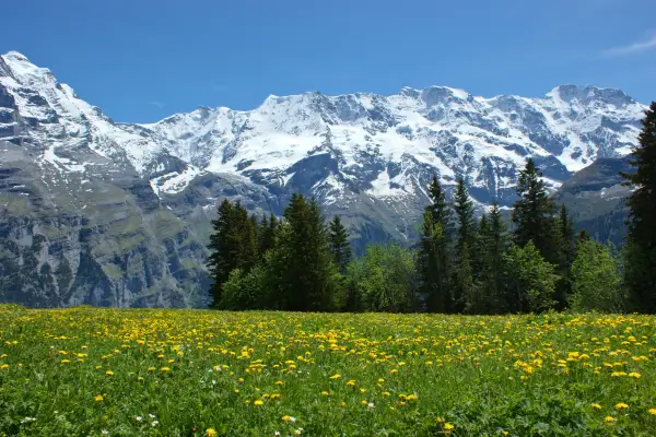 Descobrindo Aldeias Pitorescas na Região dos Alpes Suíços no Inverno