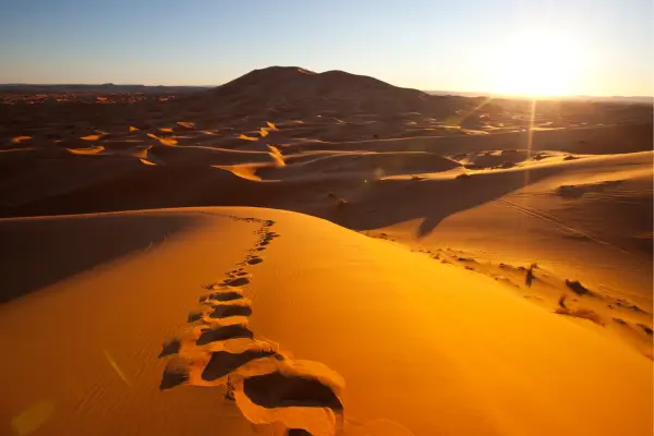 Fotografando a Beleza do Deserto do Saara ao Entardecer