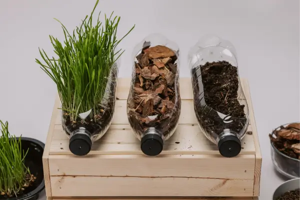 horta com garrafa pet suspensa